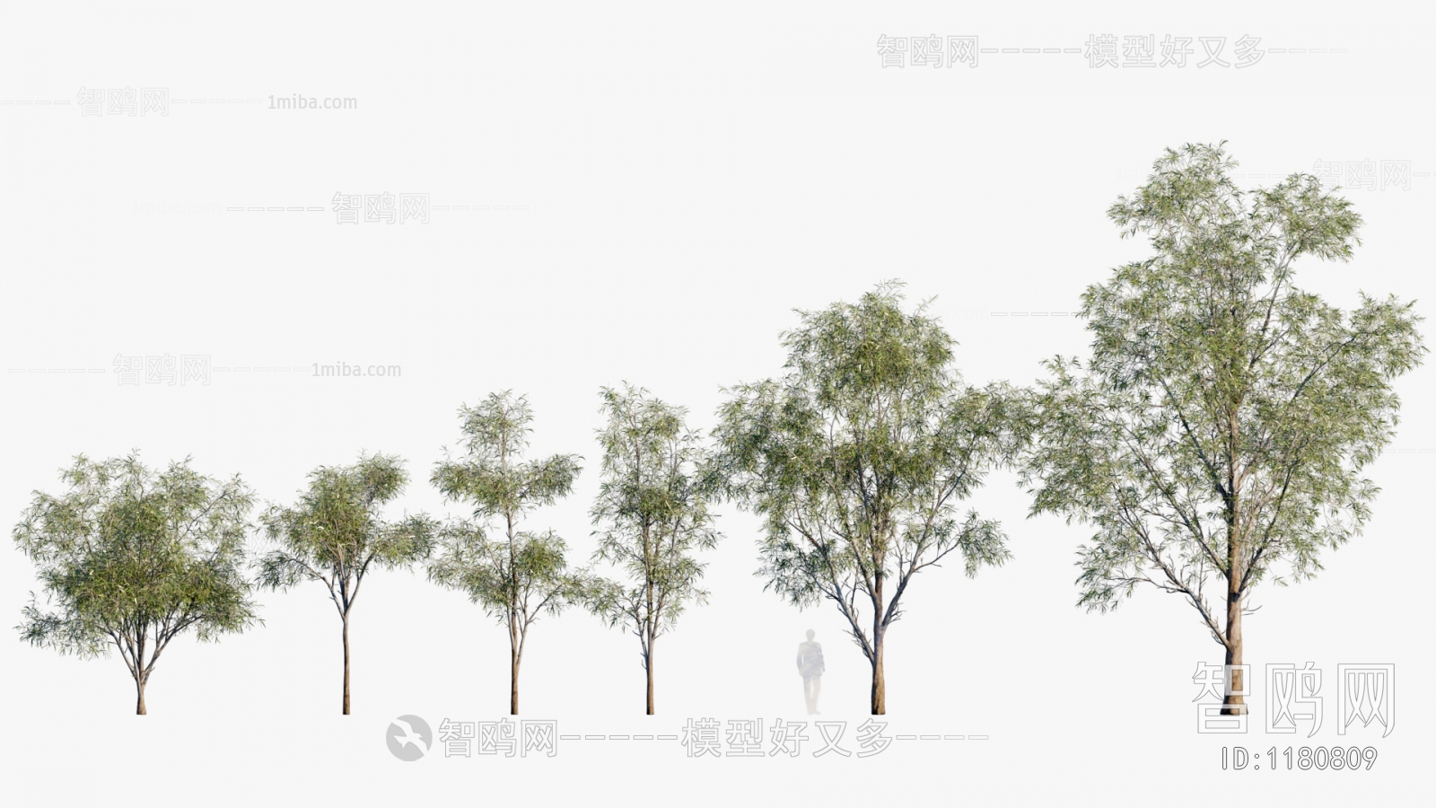 Modern Tree