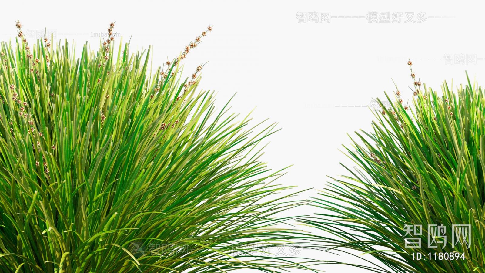 Modern Shrubbery