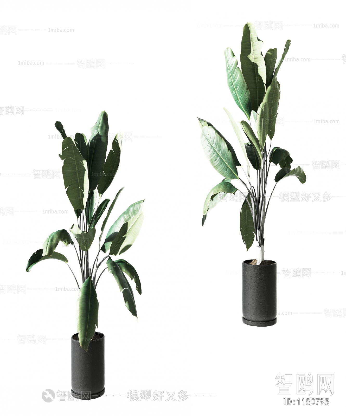 Modern Potted Green Plant