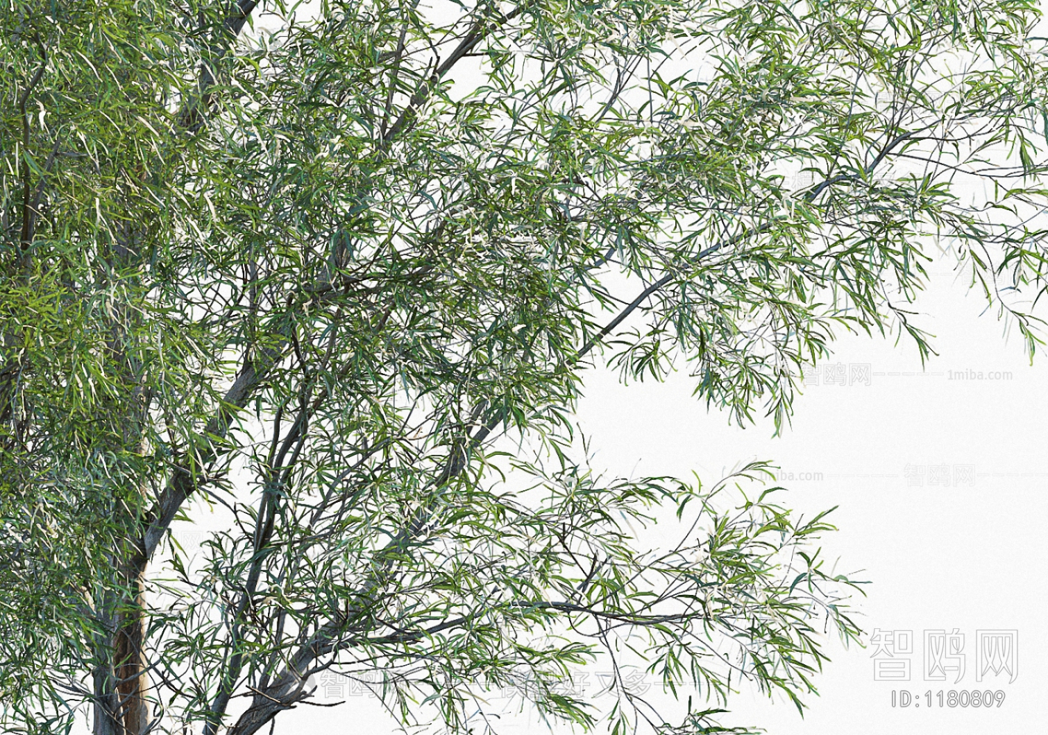 Modern Tree