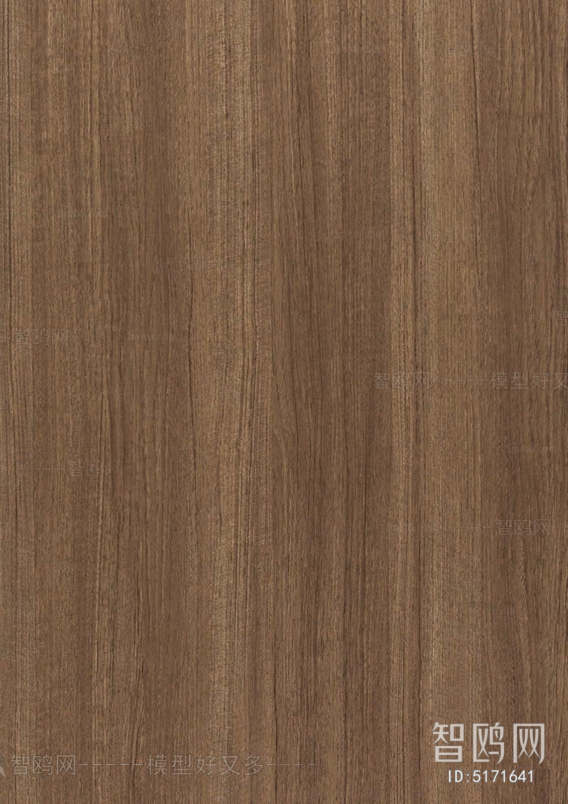 Wood Texture