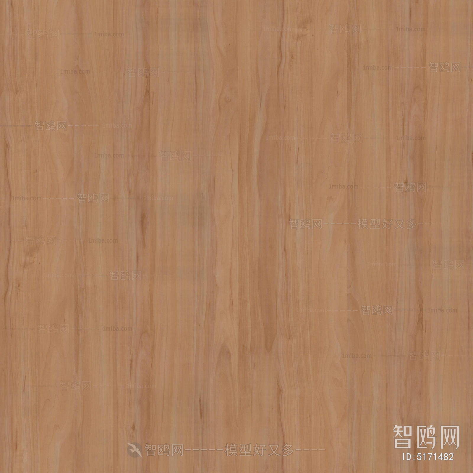 Wood Texture