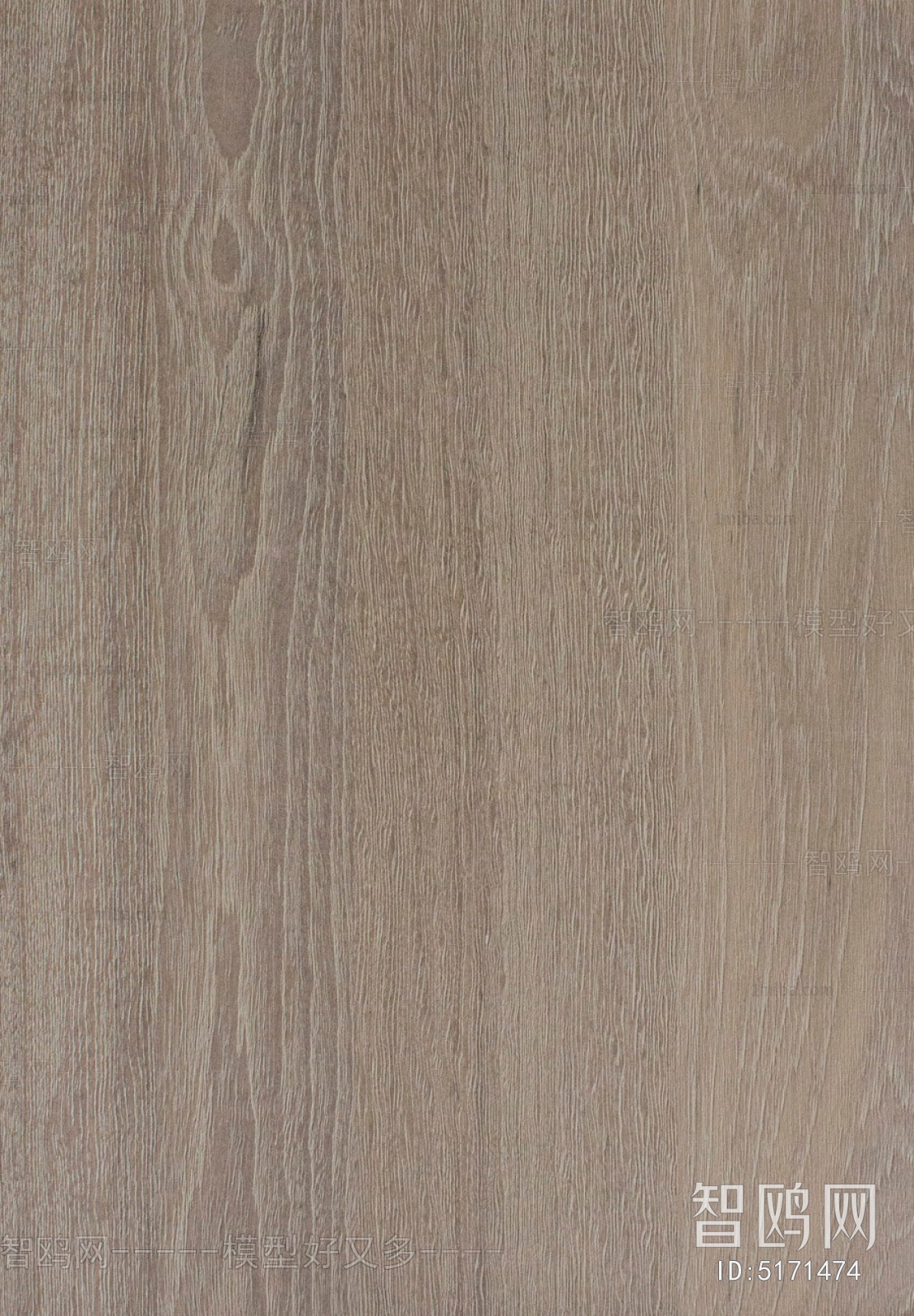 Wood Texture