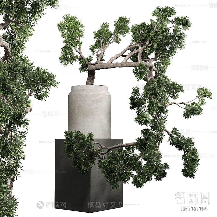 Modern Bonsai