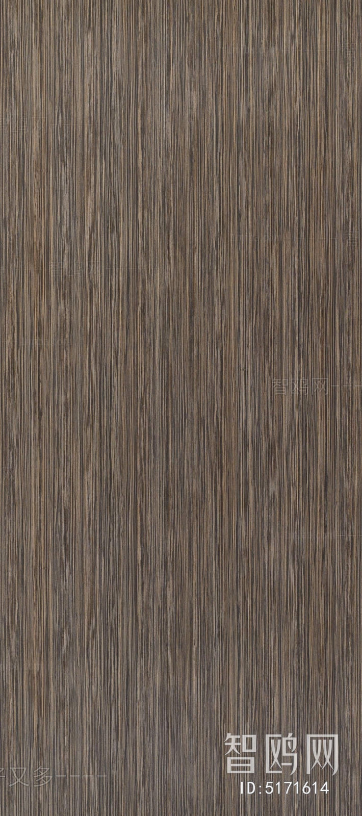 Wood Texture