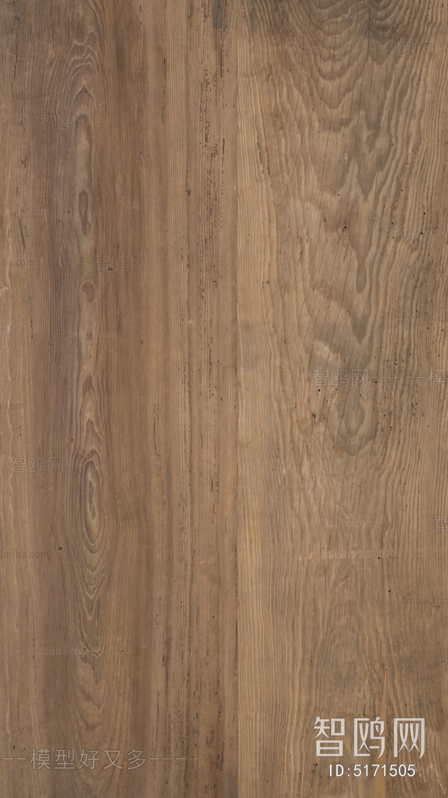 Wood Texture