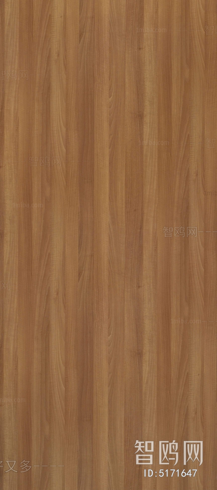 Wood Texture