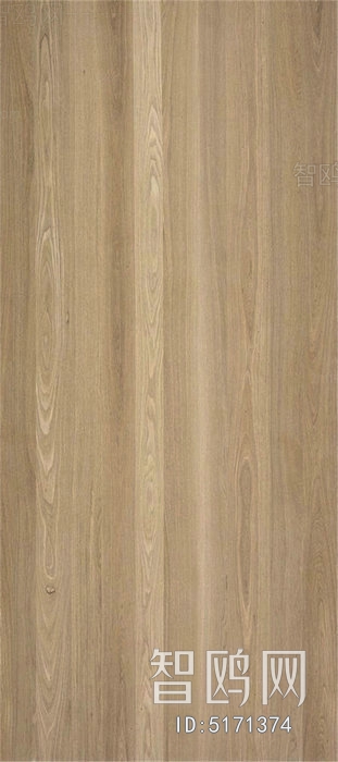 Wood Texture