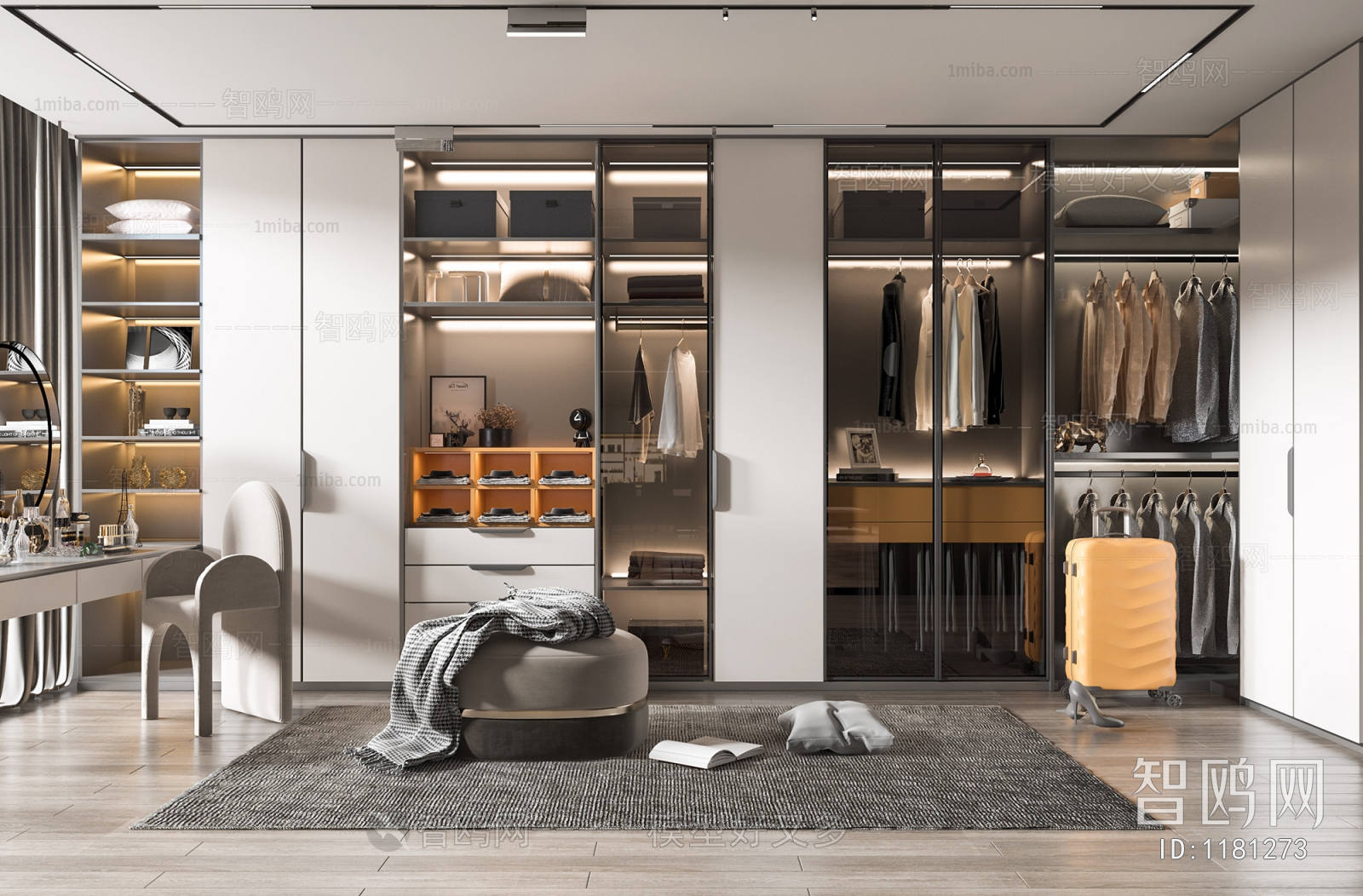 Modern Clothes Storage Area