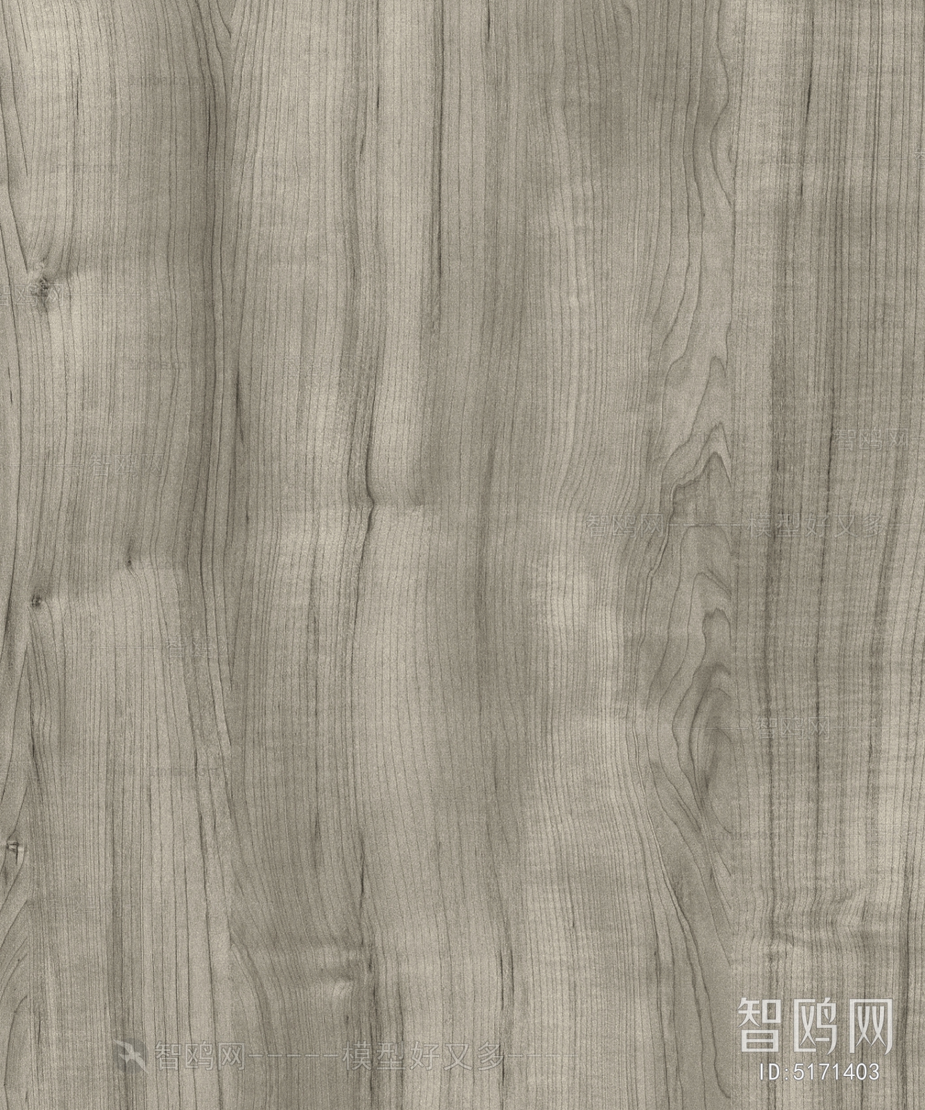 Wood Texture