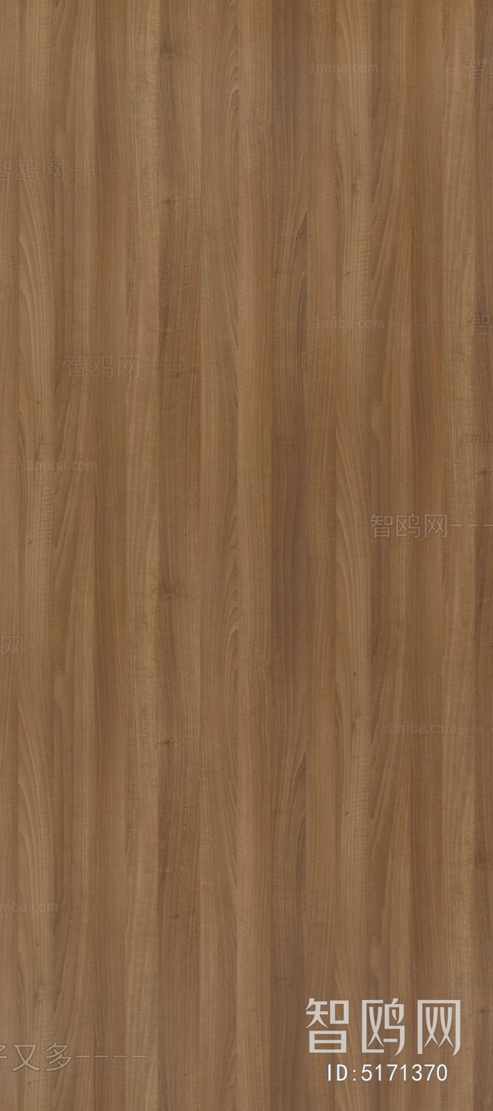 Wood Texture