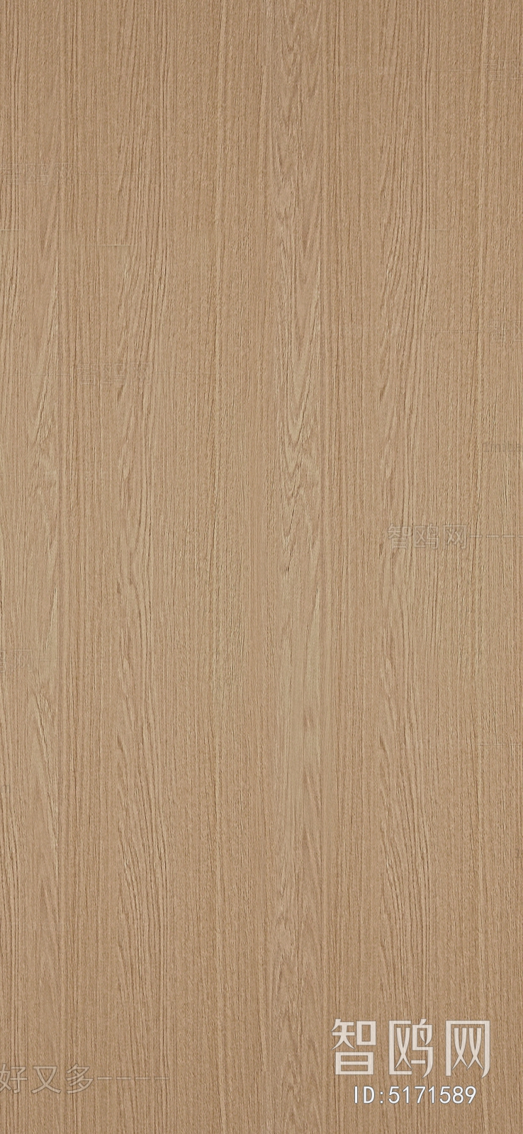 Wood Texture