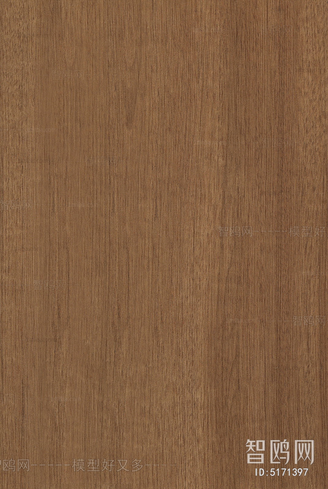 Wood Texture