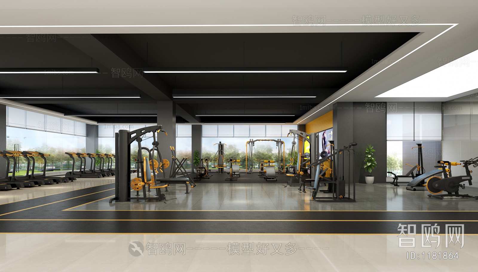 Modern Gym