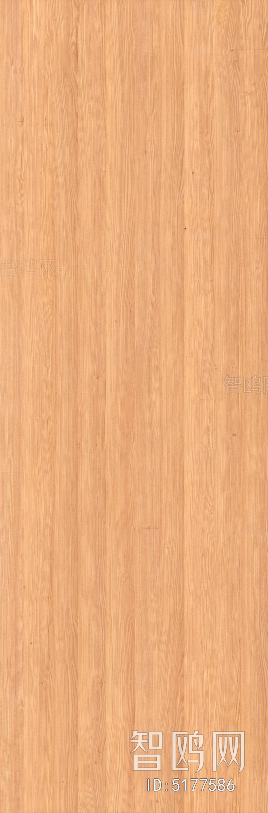 Wood Texture