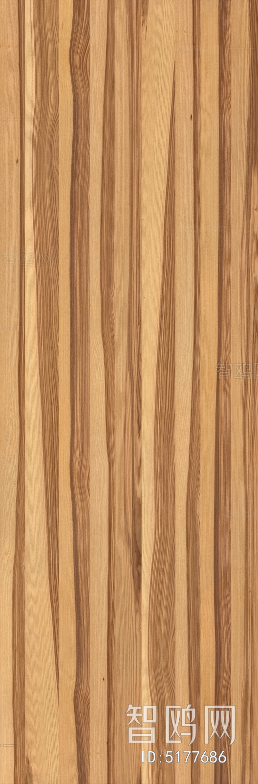 Wood Texture