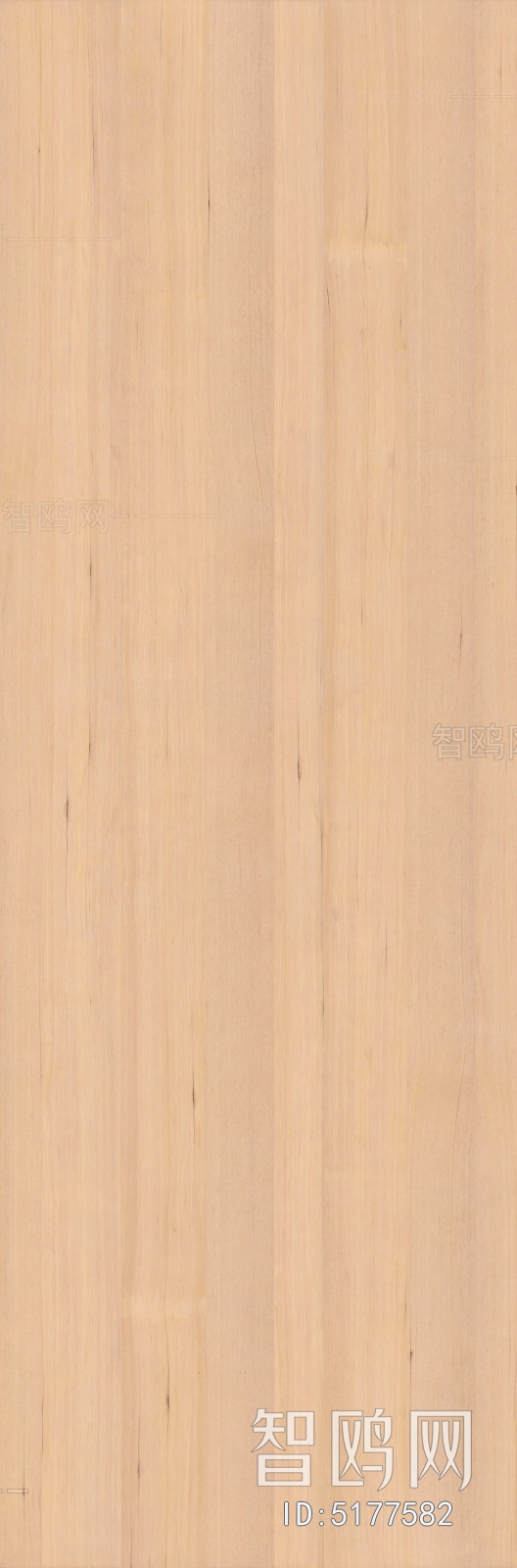 Wood Texture