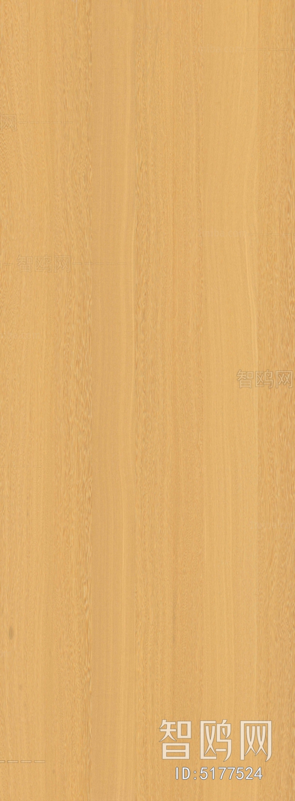 Wood Texture