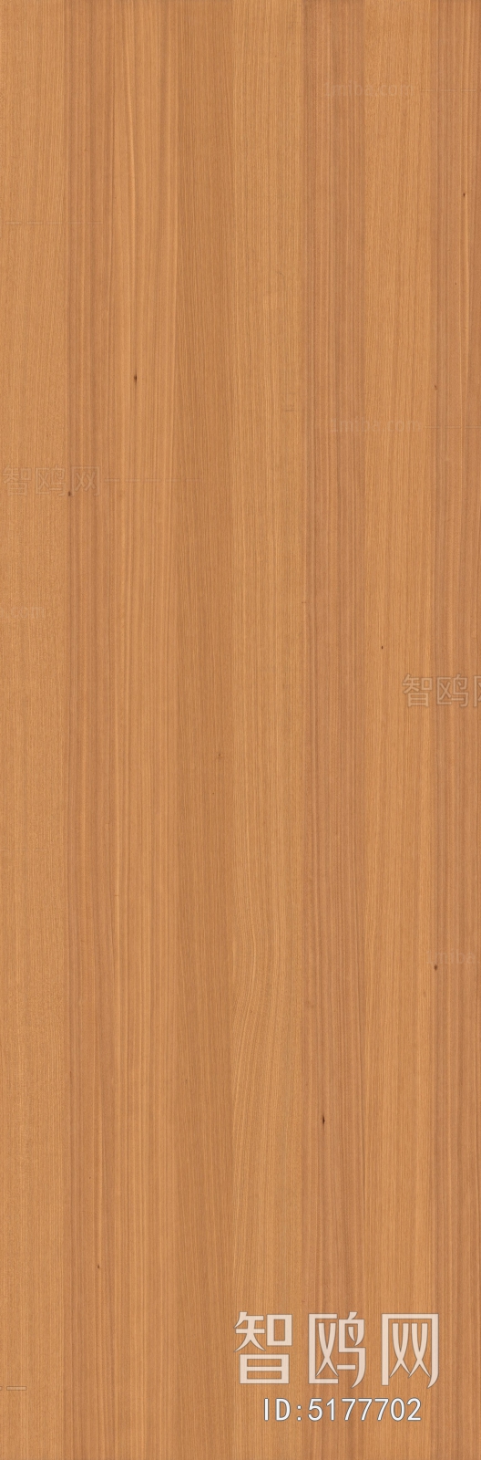 Wood Texture