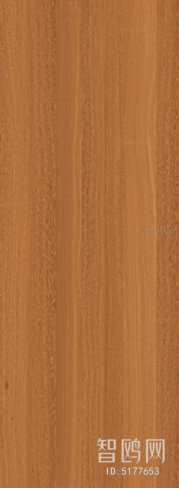 Wood Texture