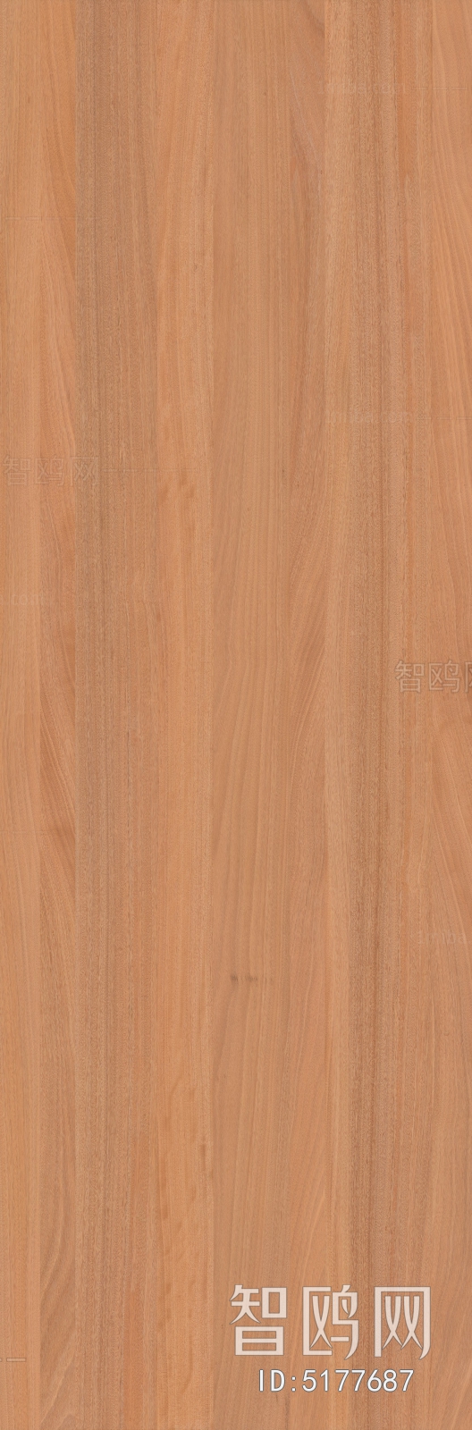 Wood Texture