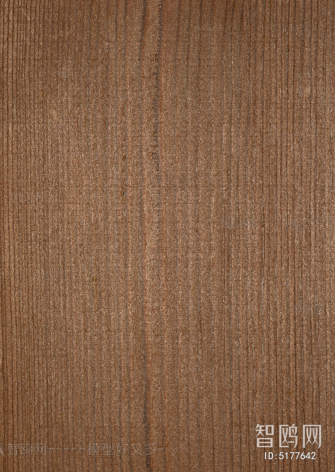 Wood Texture