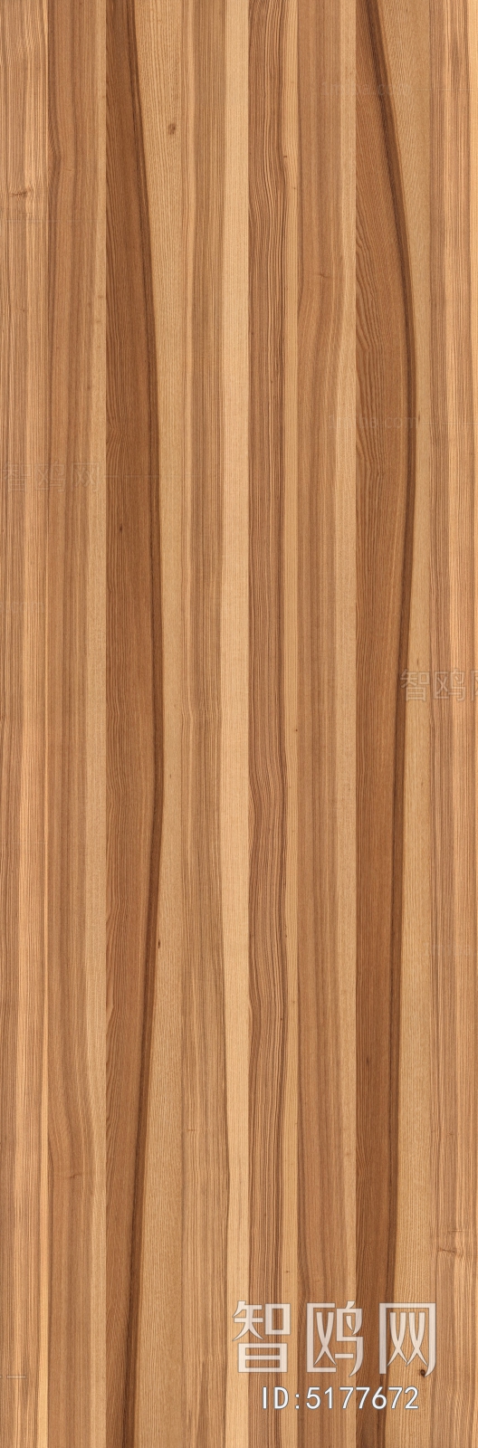 Wood Texture