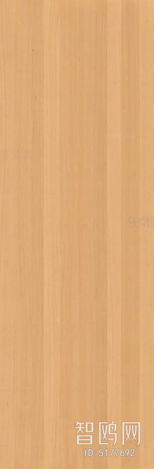 Wood Texture