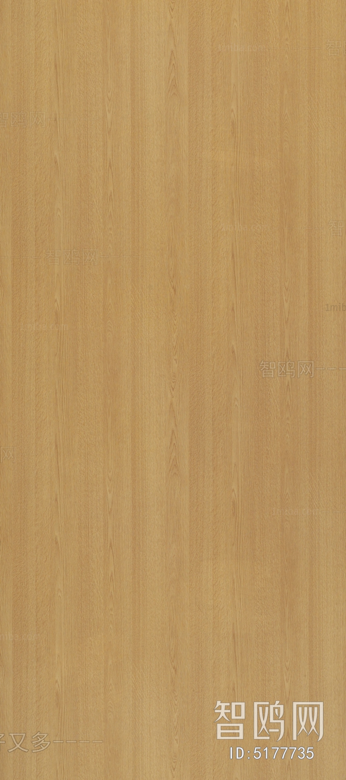 Wood Texture