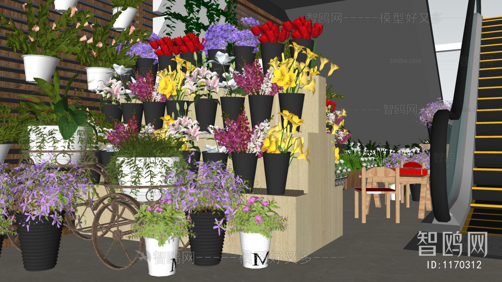 Modern Flower Shop