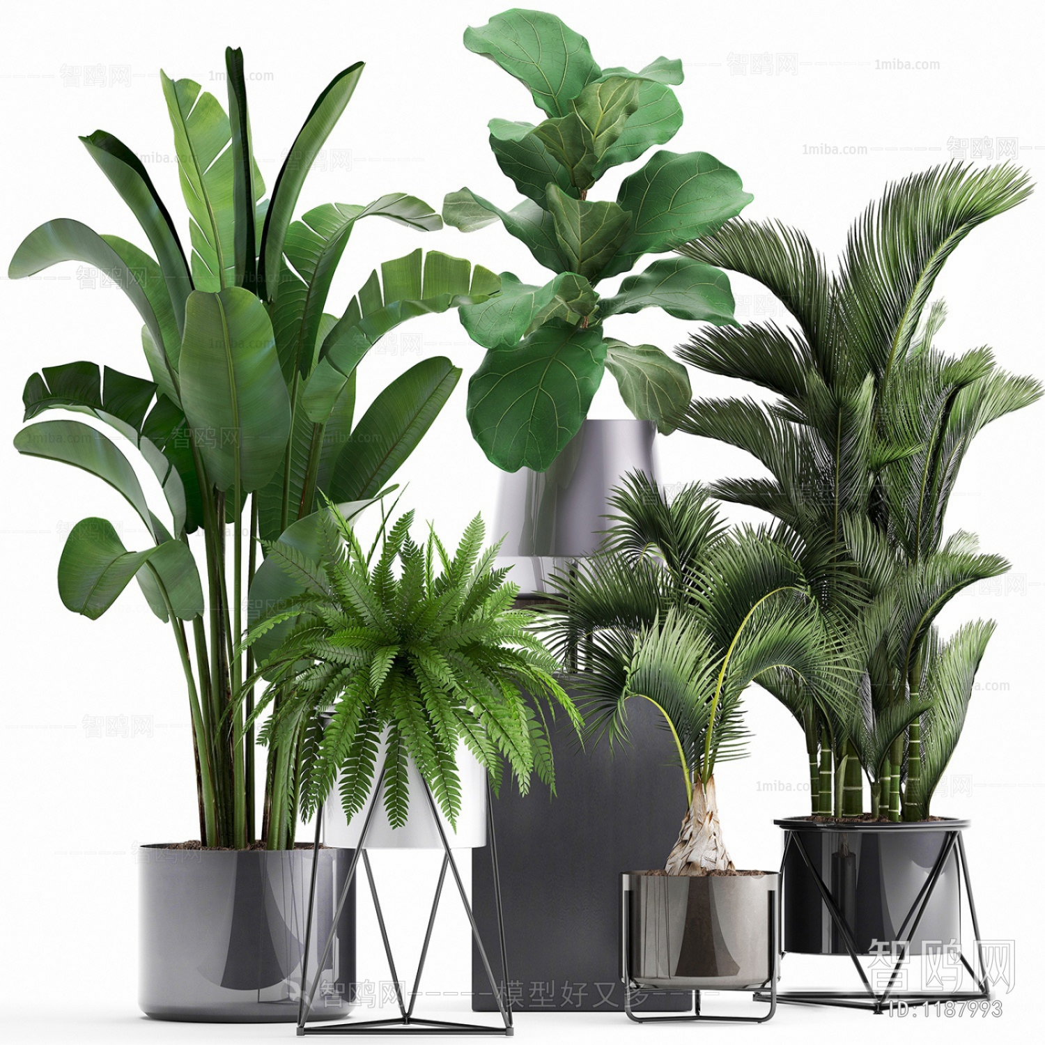 Modern Potted Green Plant