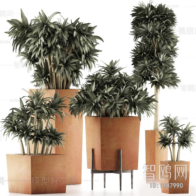 Modern Potted Green Plant