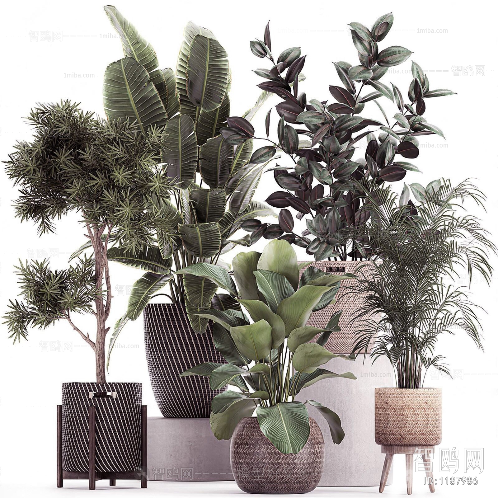 Modern Potted Green Plant