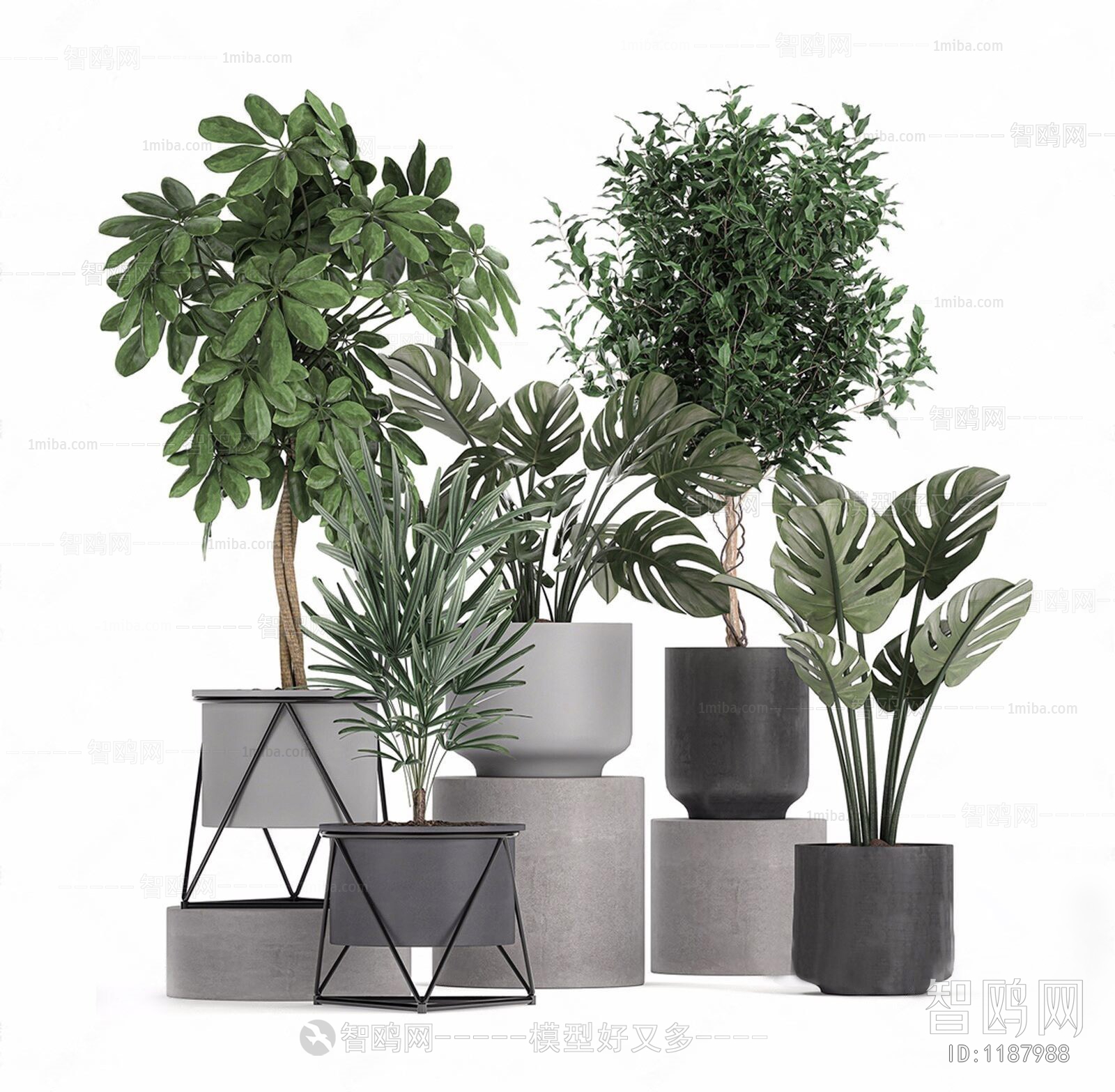 Modern Potted Green Plant