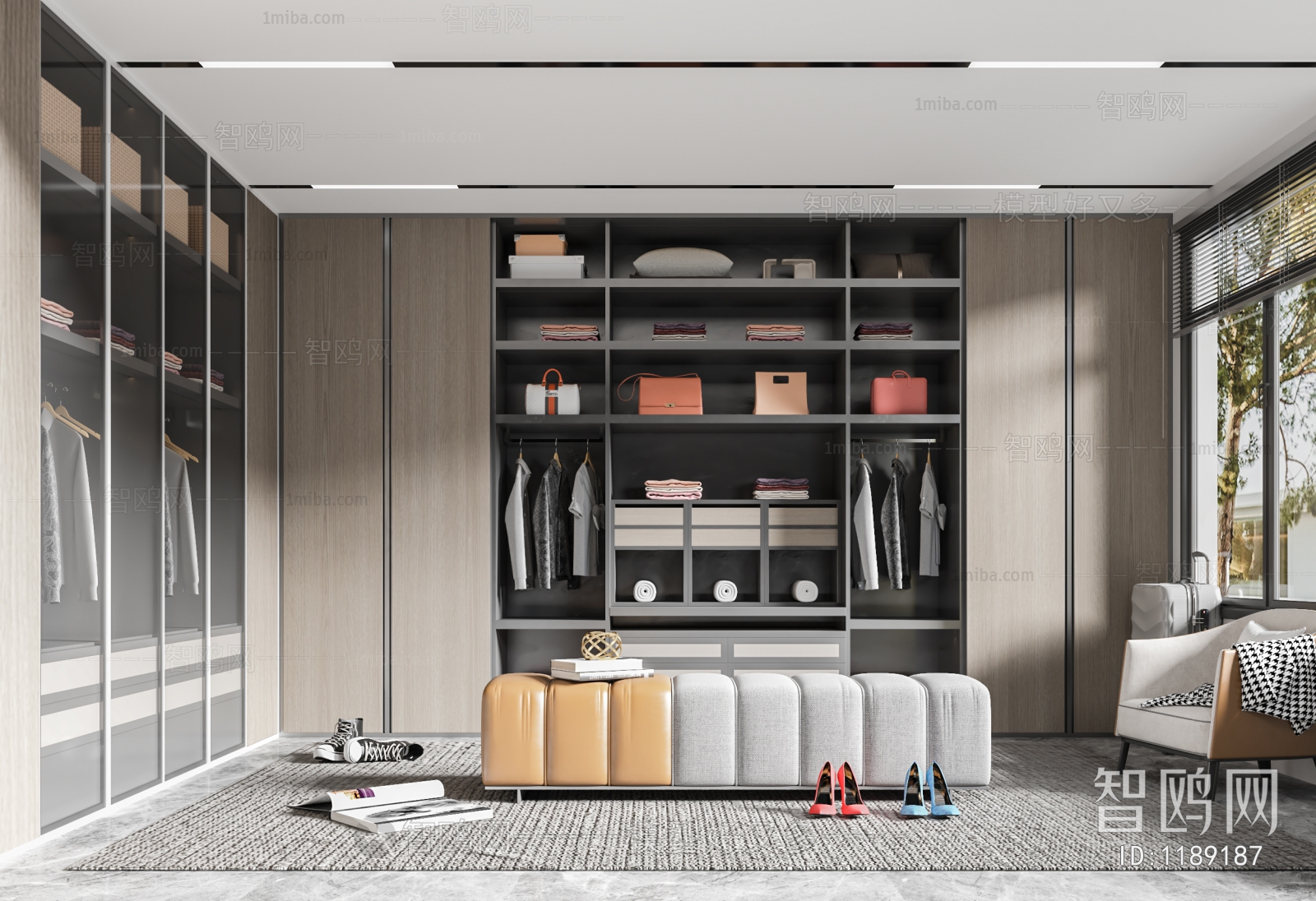 Modern Clothes Storage Area