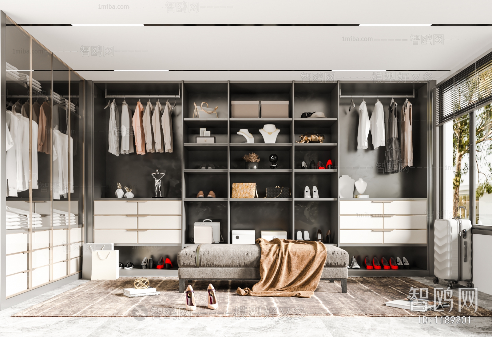 Modern Clothes Storage Area