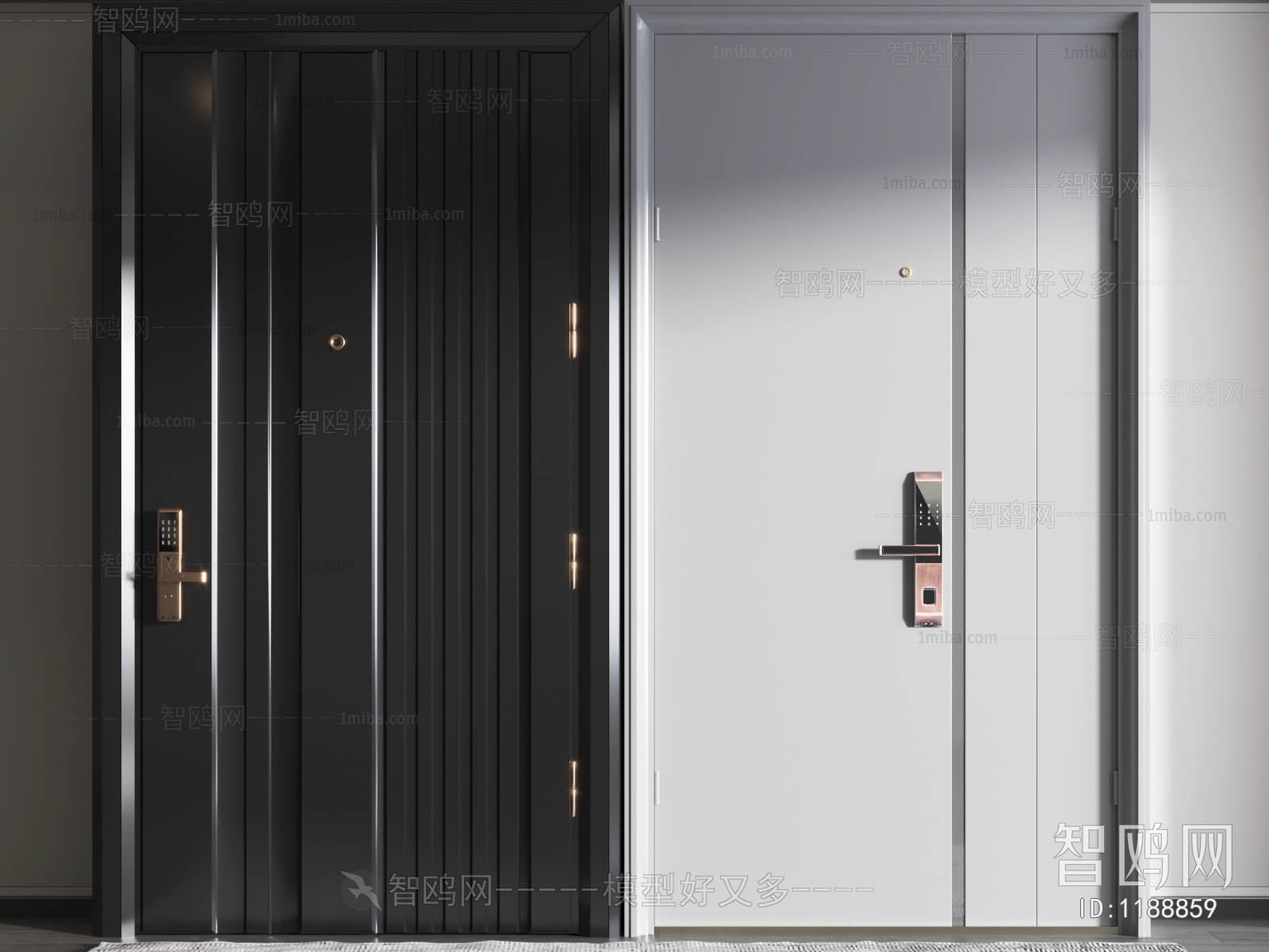 Modern Entrance Door