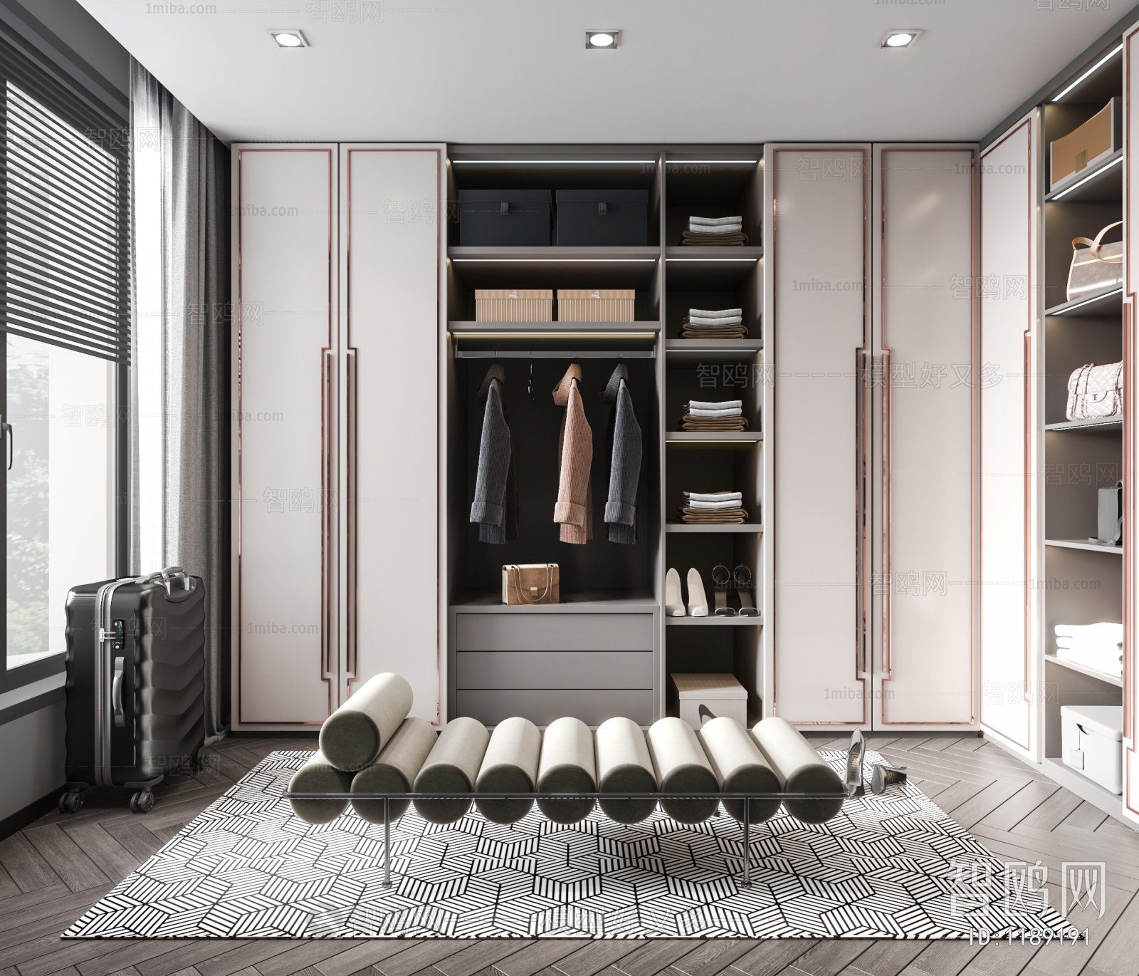 Modern Clothes Storage Area