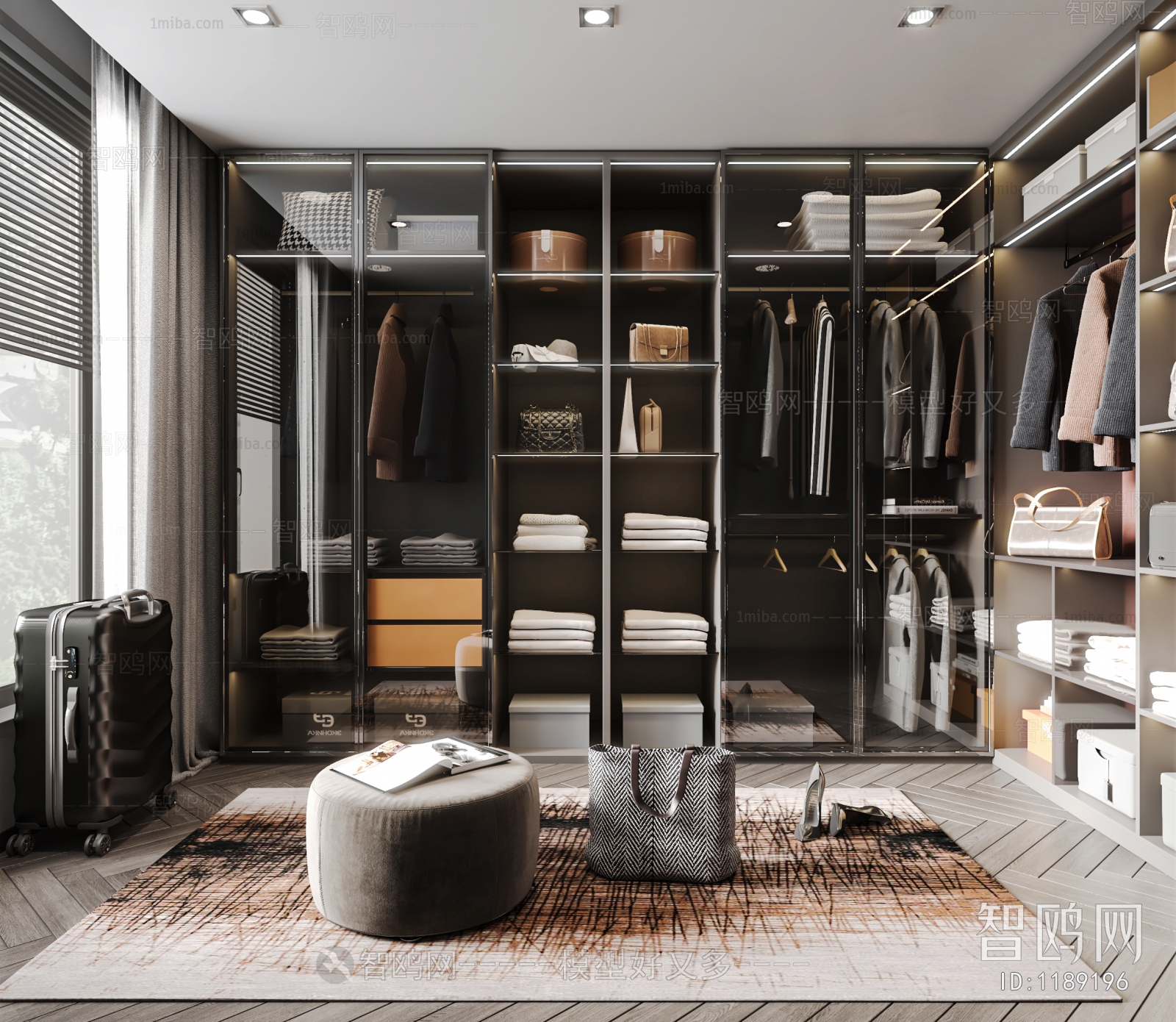 Modern Clothes Storage Area