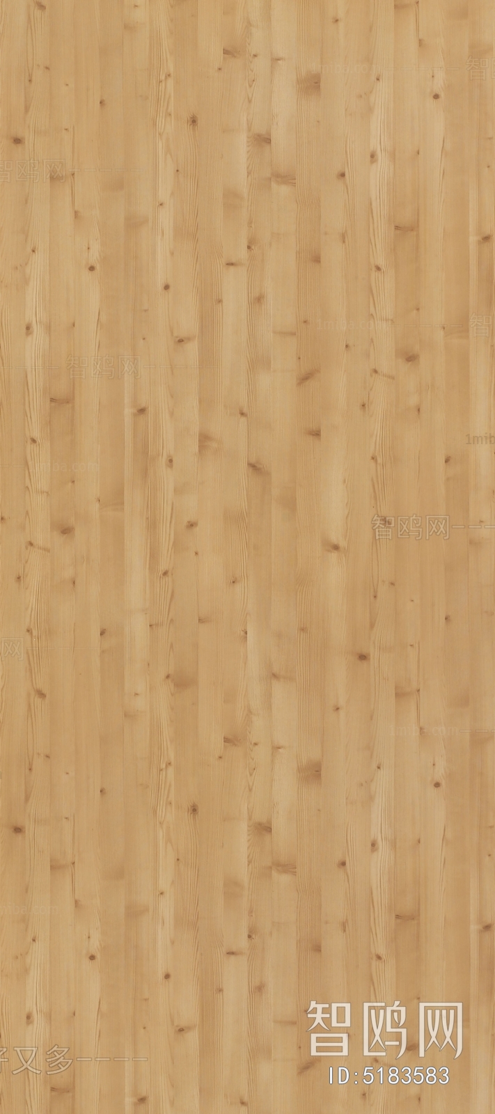 Wood Texture