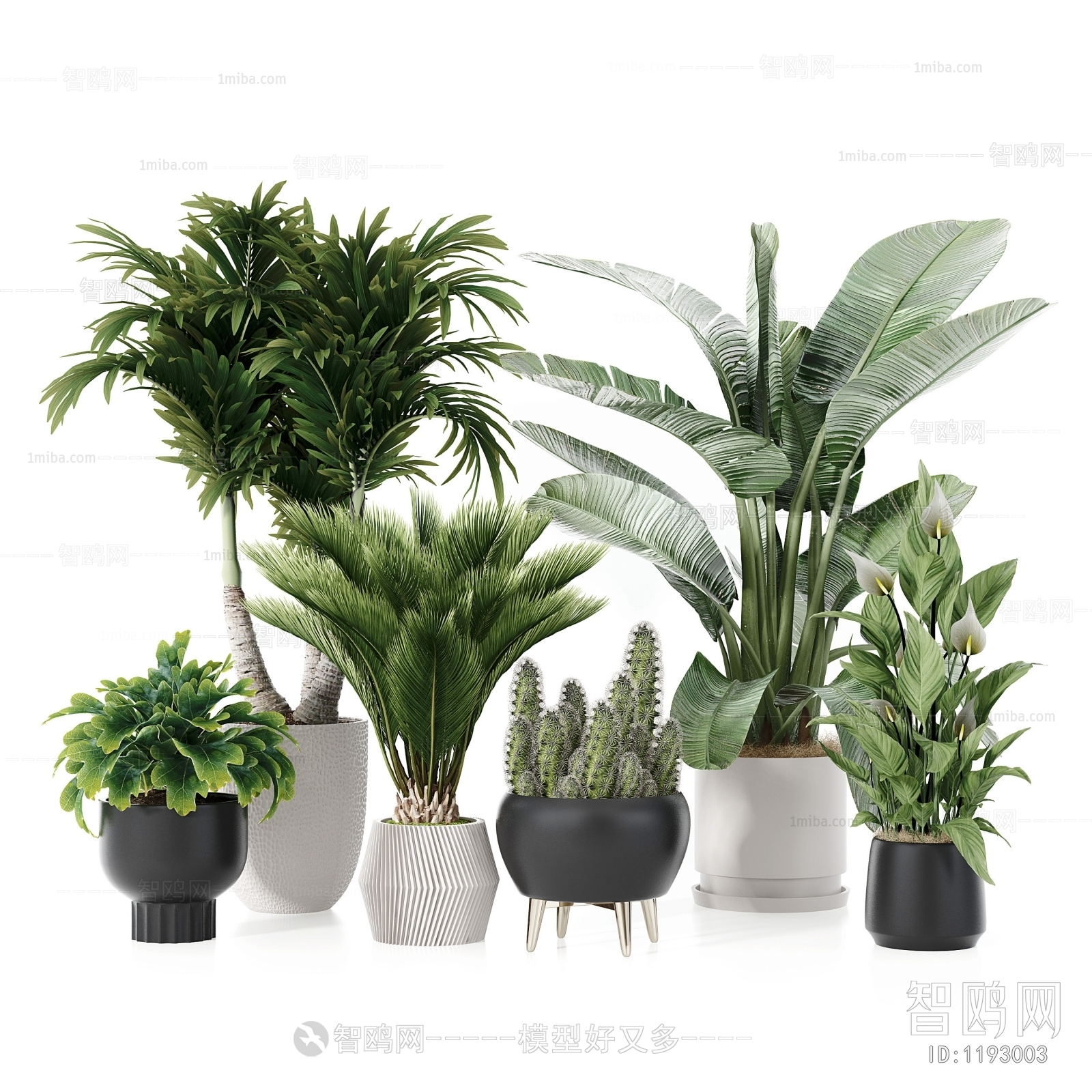 Modern Potted Green Plant