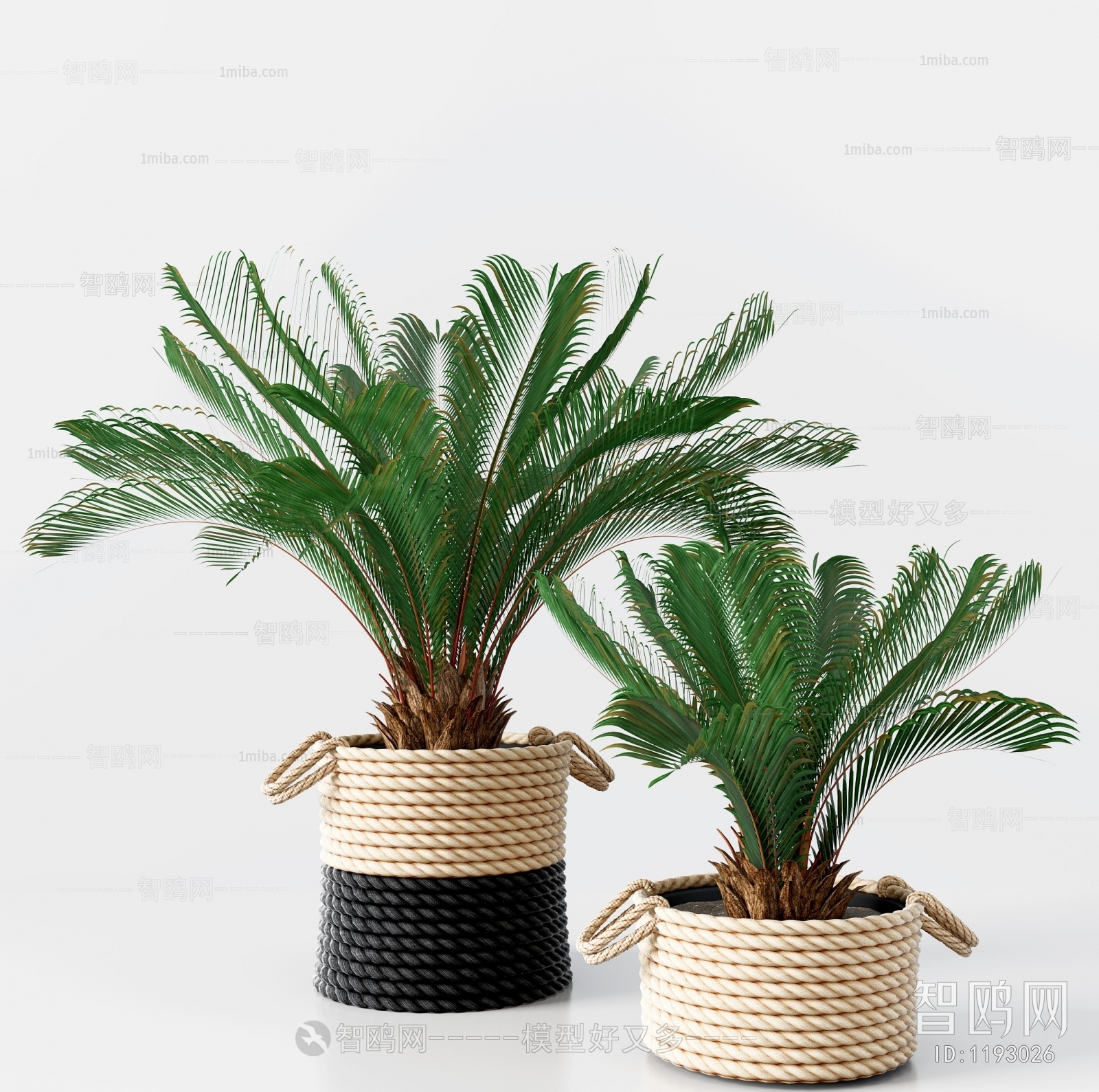 Modern Potted Green Plant