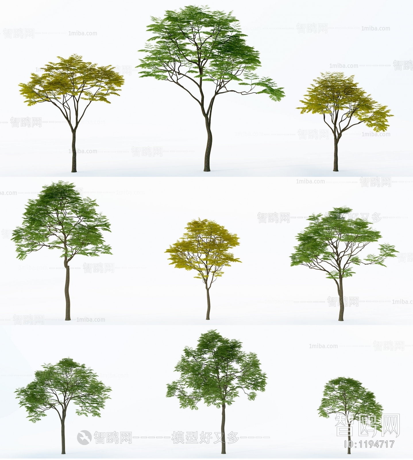 Modern Tree