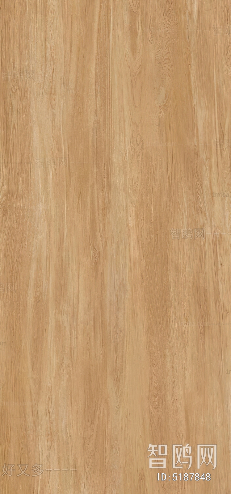 Wood Texture