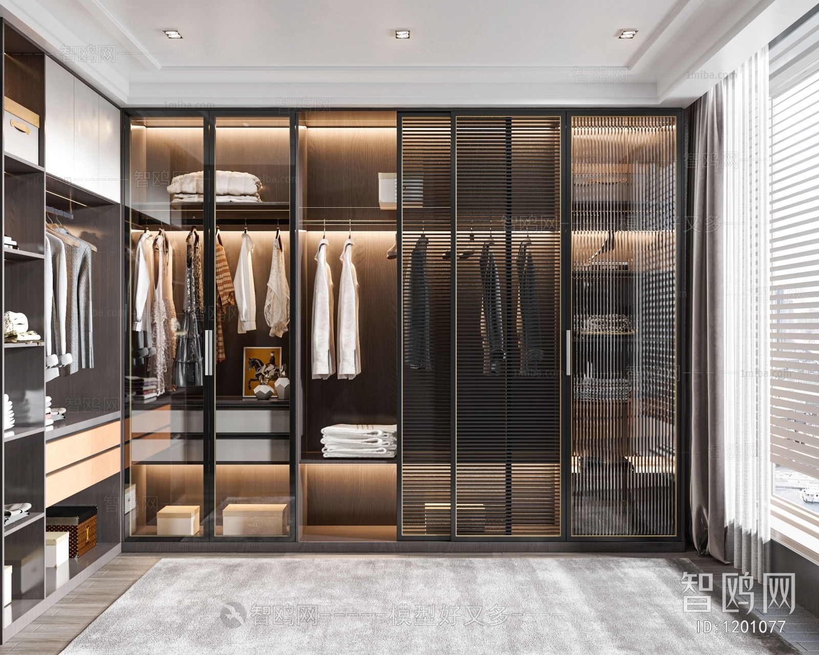 Modern Clothes Storage Area