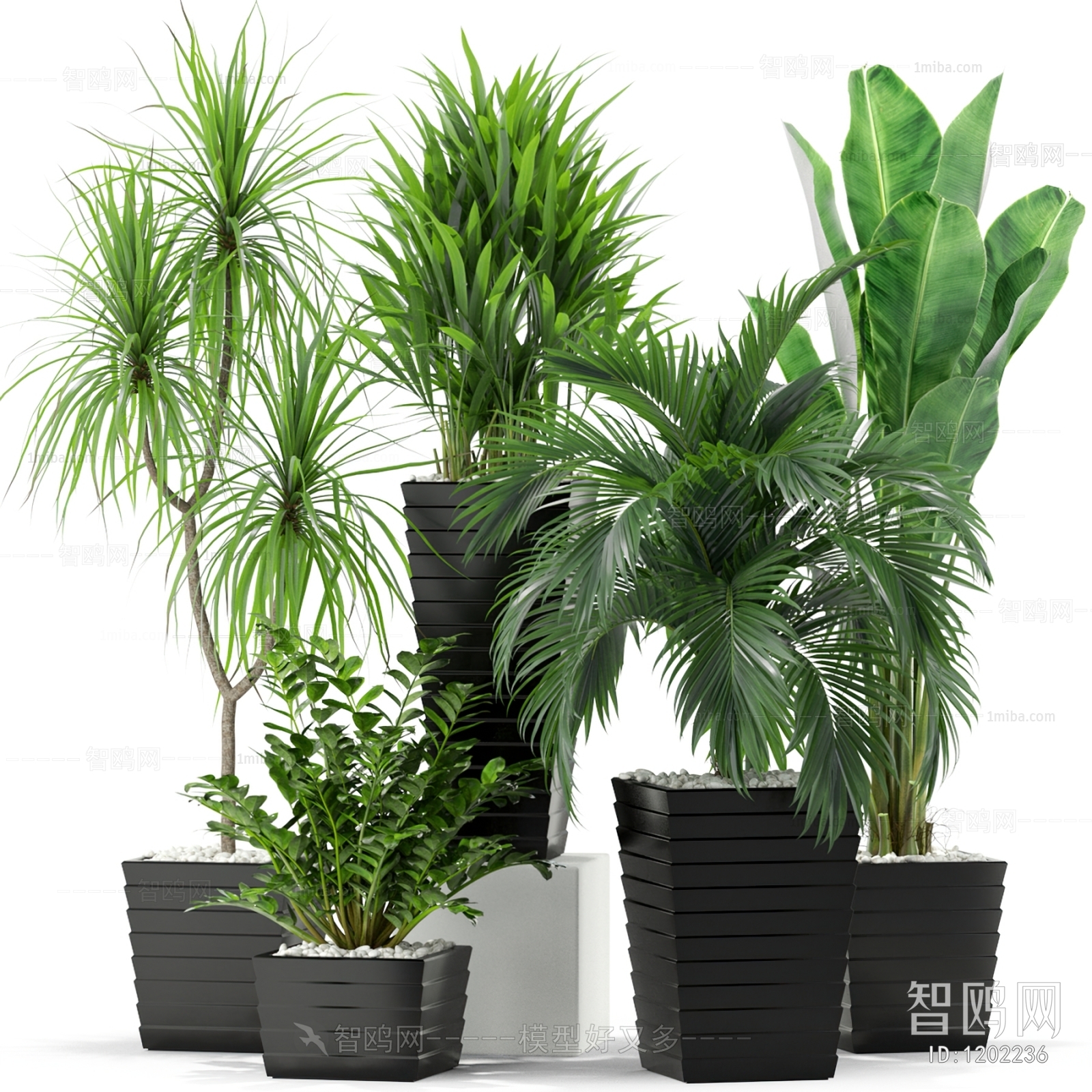 Modern Potted Green Plant