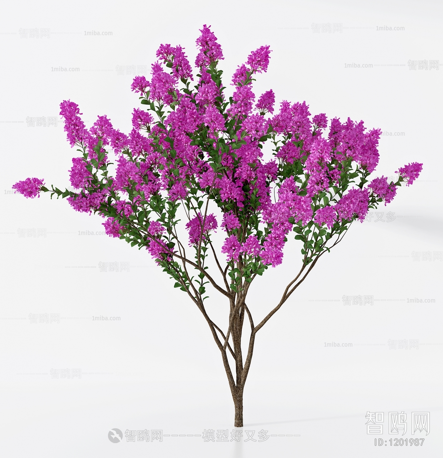 现代花树