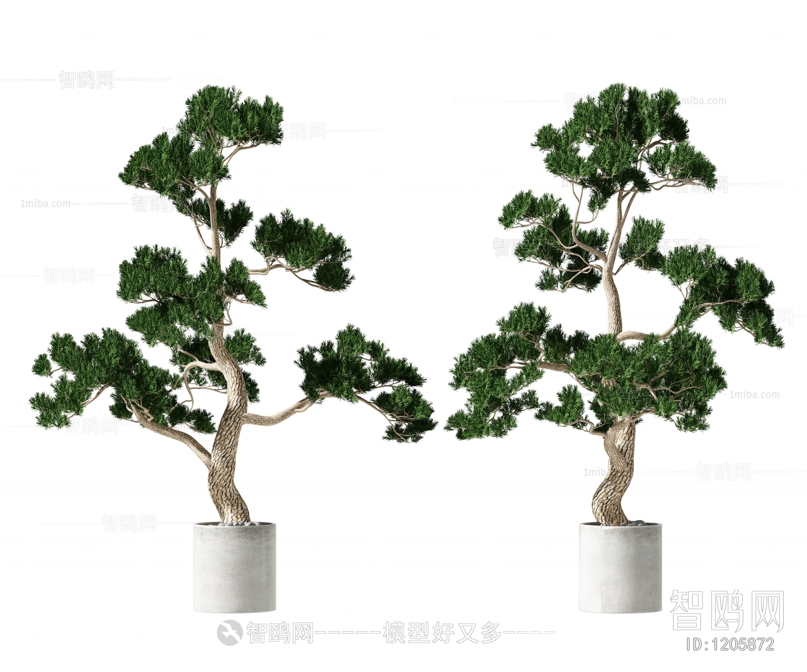 New Chinese Style Bonsai