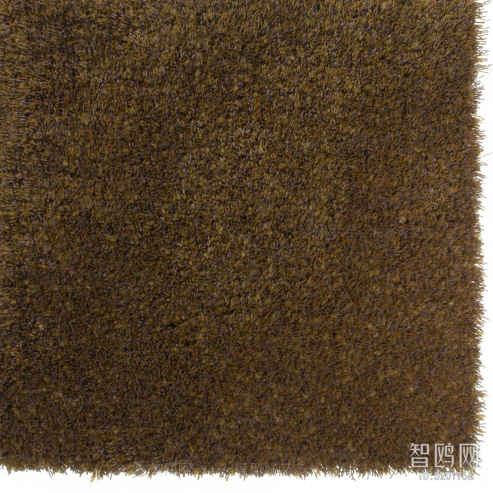 Other Carpets