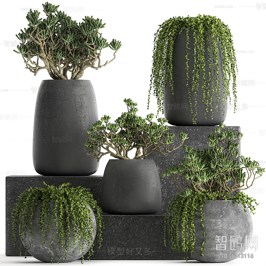 Modern Potted Green Plant